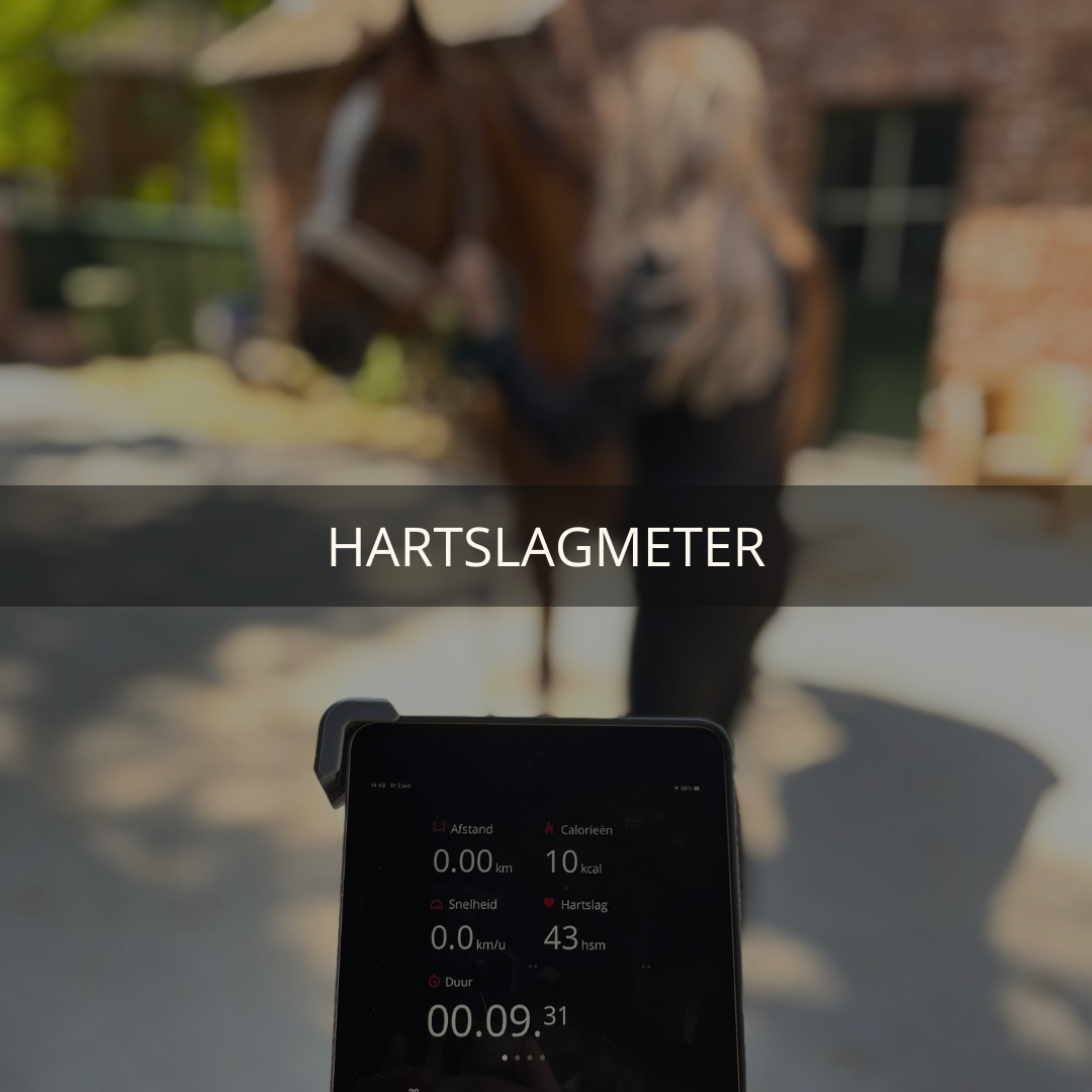 Square-Hartslagmeter