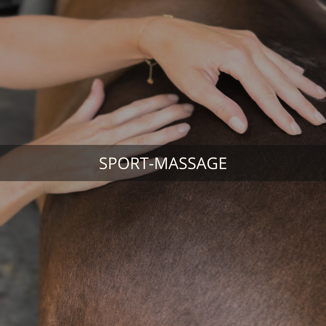 Square-Massage